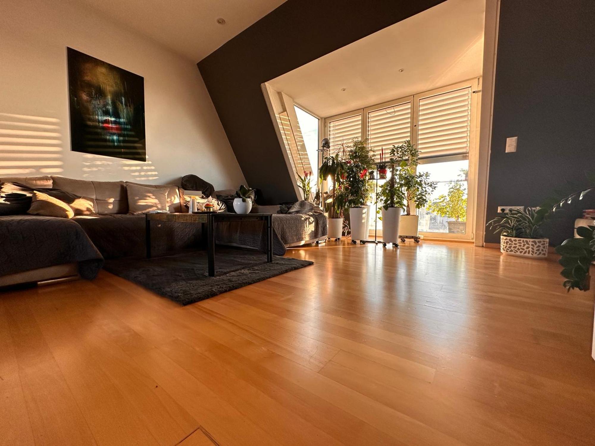 City-penthouse Mit 4 Terassen Und Whirlpool Appartement Wenen