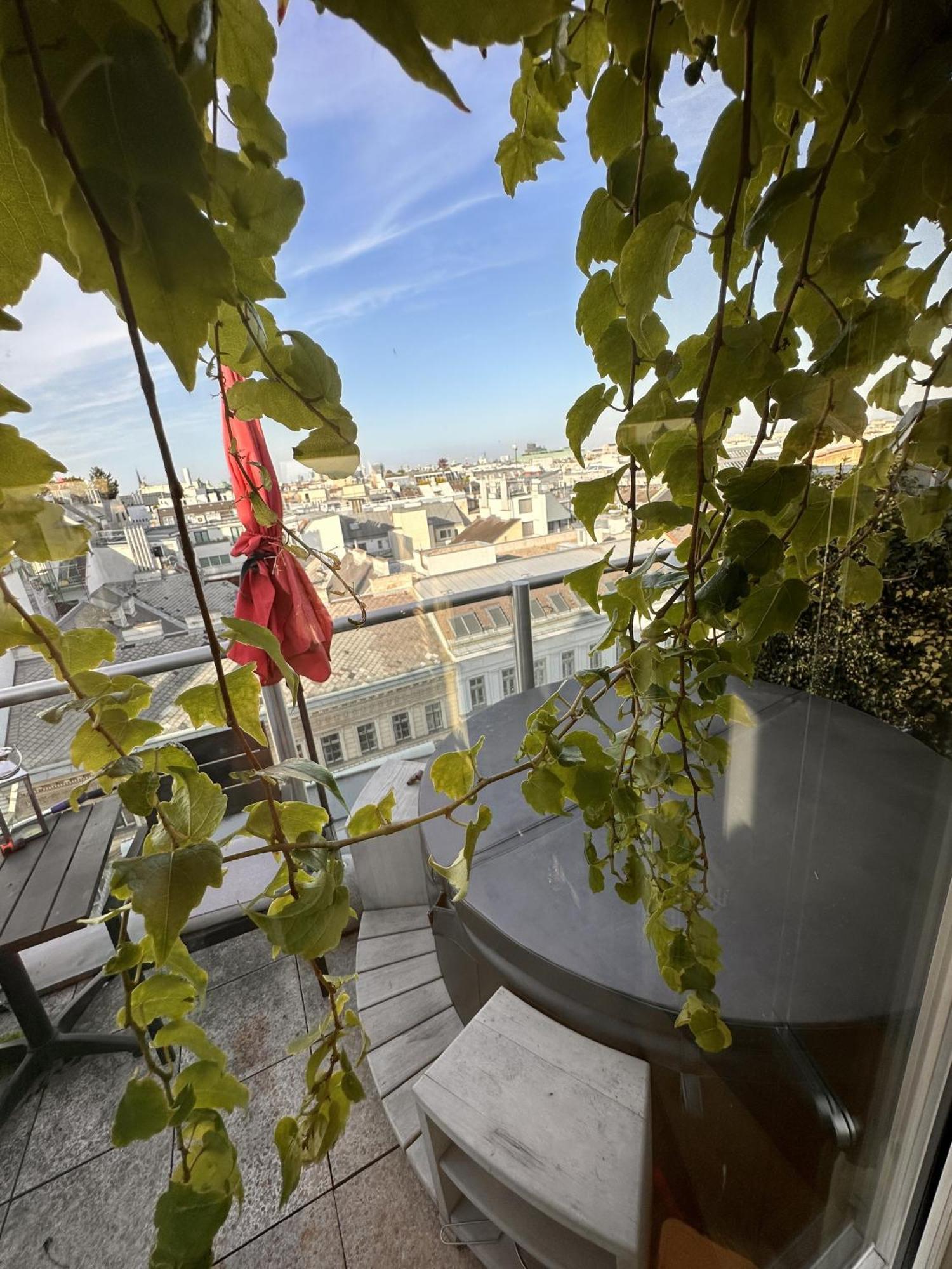Appartement City-penthouse Mit 4 Terassen Und Whirlpool *